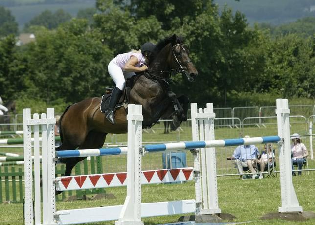 Catchas Cathch Can - Show Jumping